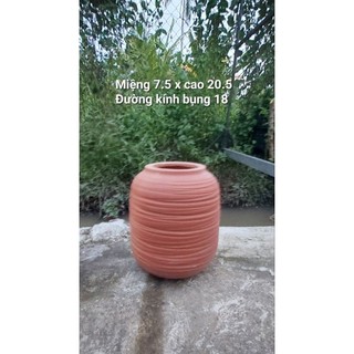 Chậu đất nung - chậu dáng bình tròn cắt rối (kích thước trên ảnh)