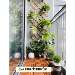  Giàn gỗ treo cây Giàn leo cho cây sân vườn ban công  Hàng rào gỗ trồng cây leo tường 