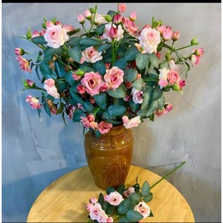 Cành hoa hồng ngoại rose