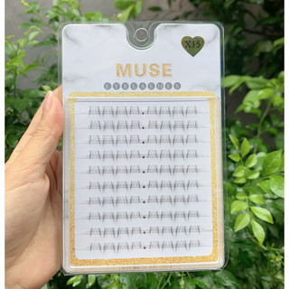 Lông Mi Muse 10 Hàng