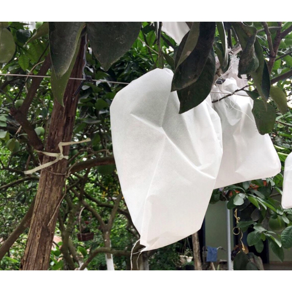 50 TÚI BỌC TRÁI CÂY BƠ, ỔI, XOÀI, NA 50 TÚI CÓ DÂY RÚT 15 x 20 CM hàng đẹp-Phukientuiloc