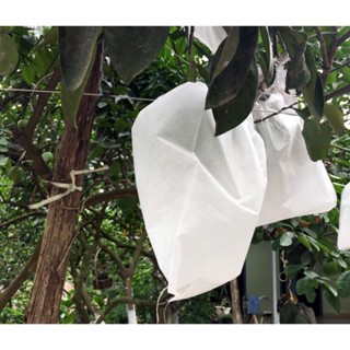 [SIEURE] 50 TÚI BỌC TRÁI CÂY BƠ, ỔI, XOÀI, NA 50 TÚI CÓ DÂY RÚT 15 x 20 CM hàng đẹp-Phukientuiloc