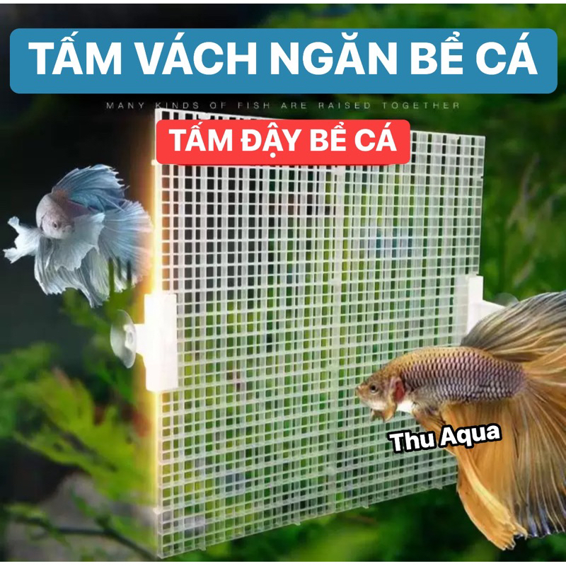 Tấm vách ngăn bể cá - tấm đậy nắp bể