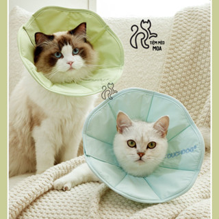 Vòng cổ dán bằng vải nhồi bông chống liếm cho thú cưng - Tiệm Mèo Moa