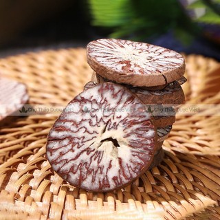 Hạt cau khô 500g, binh lang, nguyên hạt, sạch, đẹp, giảm đau nhức răng, sâu răng - Chợ Thảo Dược Việt