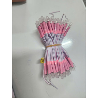 Led Ruồi Liền Dây 12v ( 100 bóng/dây )
