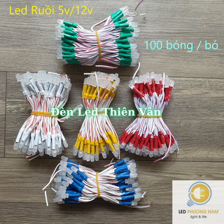 Led Ruồi Liền Dây 12v ( 100 bóng/dây )
