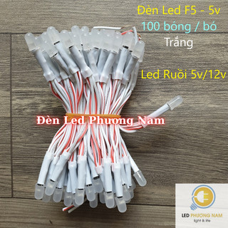 Led Ruồi Liền Dây 12v ( 100 bóng/dây )