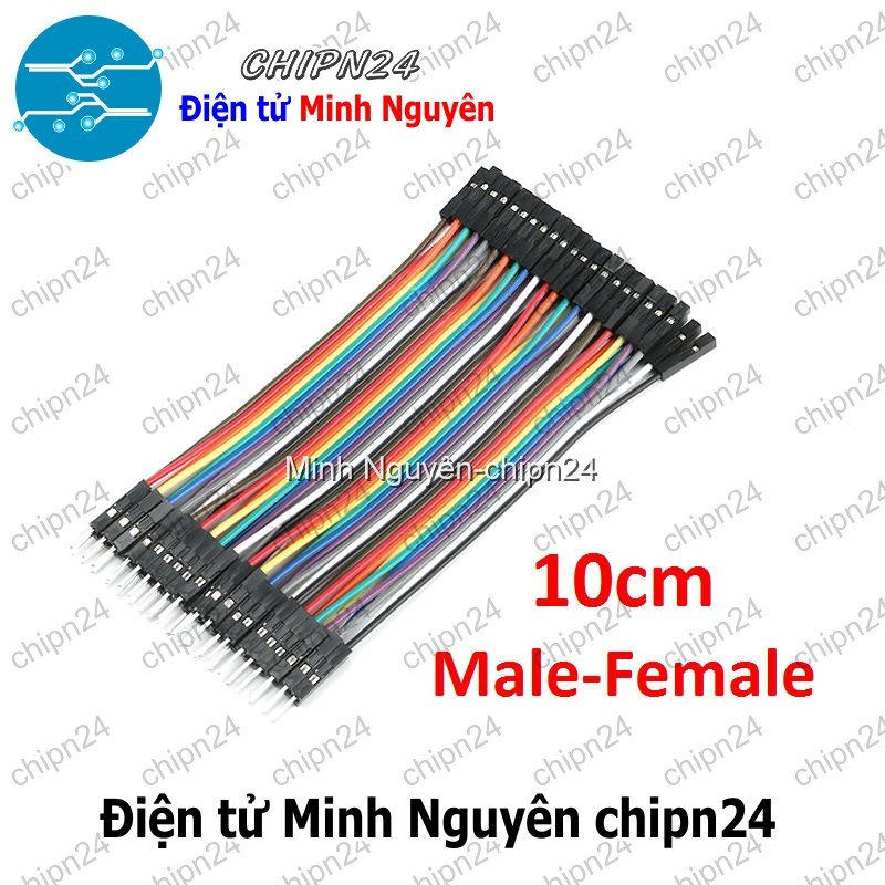 [20 sợi] (P65) Dây Cắm Test Board 10cm Đực-Cái