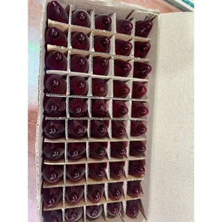 Bóng đèn trái ớt - bóng lửa 3W Hòa Thái Đỏ - Trắng thay thế ở bàn thờ