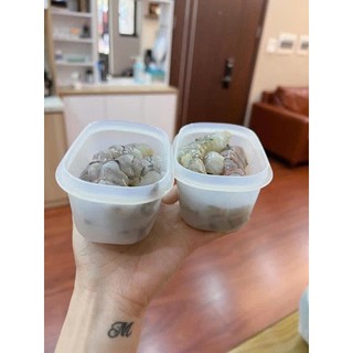 Hộp trữ đông Gen II 170ml ( Đông dẻo khó vỡ) Tupperware
