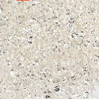 ĐÁ RẮC SIÊU SÁNG TRANG TRÍ NAIL