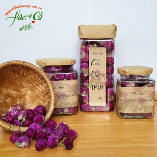 (HỎA TỐC HCM) HOA CÚC BÁCH NHẬT (GLOBE AMARANTH FLOWERS)
