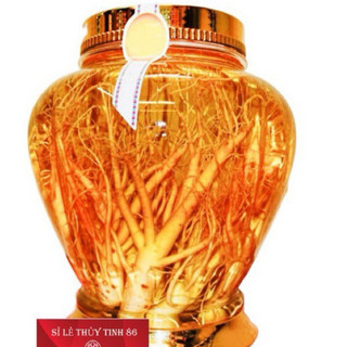Bình ngâm sâm linh chi 3,7 lit (hàng công ty có hộp)
