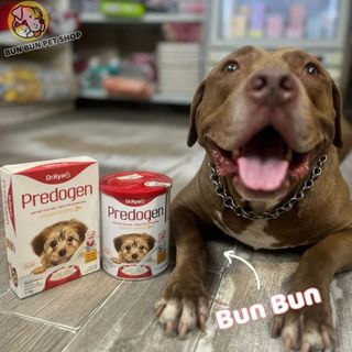 Sữa Bột Predogen Cho Chó - Sữa Bột Predogen Cho Chó