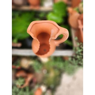 Chậu đất nung - chậu bình sữa xẻ (mới) cao 24cm