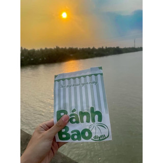 TÚI BÁNH BAO (100c)