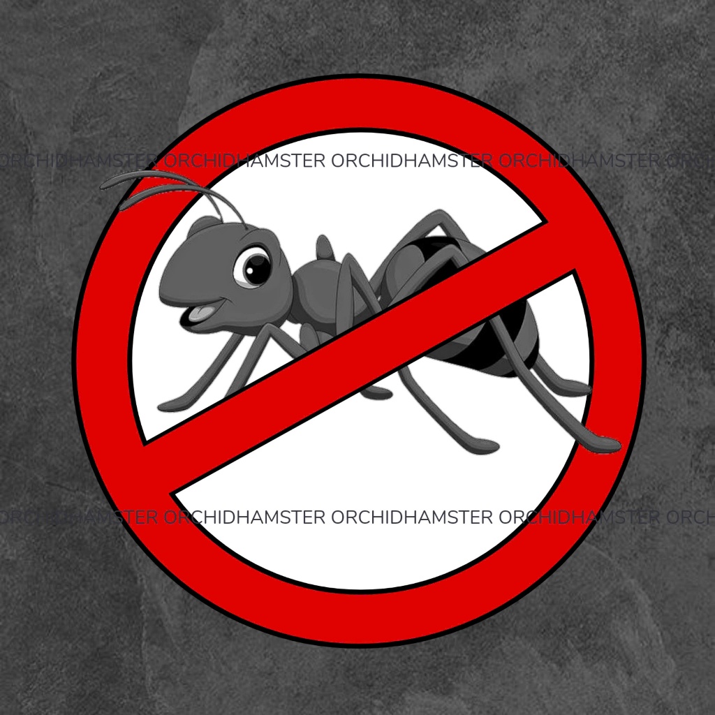 Dung Dịch Diệt Kiến ( Lọ Dung Dịch Diệt Kiến )