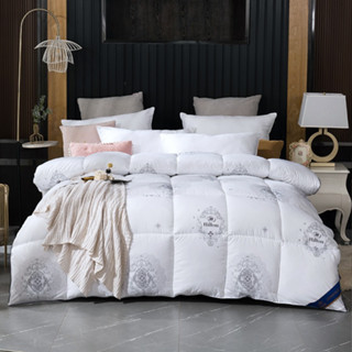 Ruột chăn lông vũ siêu nhẹ HILTON MẸ SỮA nhập khẩu chăn lông vũ mùa đông siêu nhẹ siêu ấm kháng khuẩn kích cỡ 2mx2m3