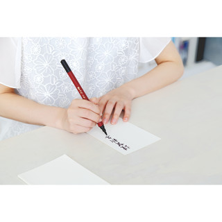 Bút Pentel Tsuin Fude Brush XSFW33B