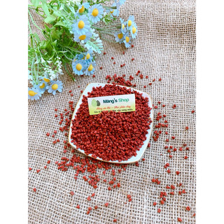 Hạt điều đỏ ( hạt cari) (Gói 100g)