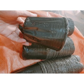Bầu Ươm Cây