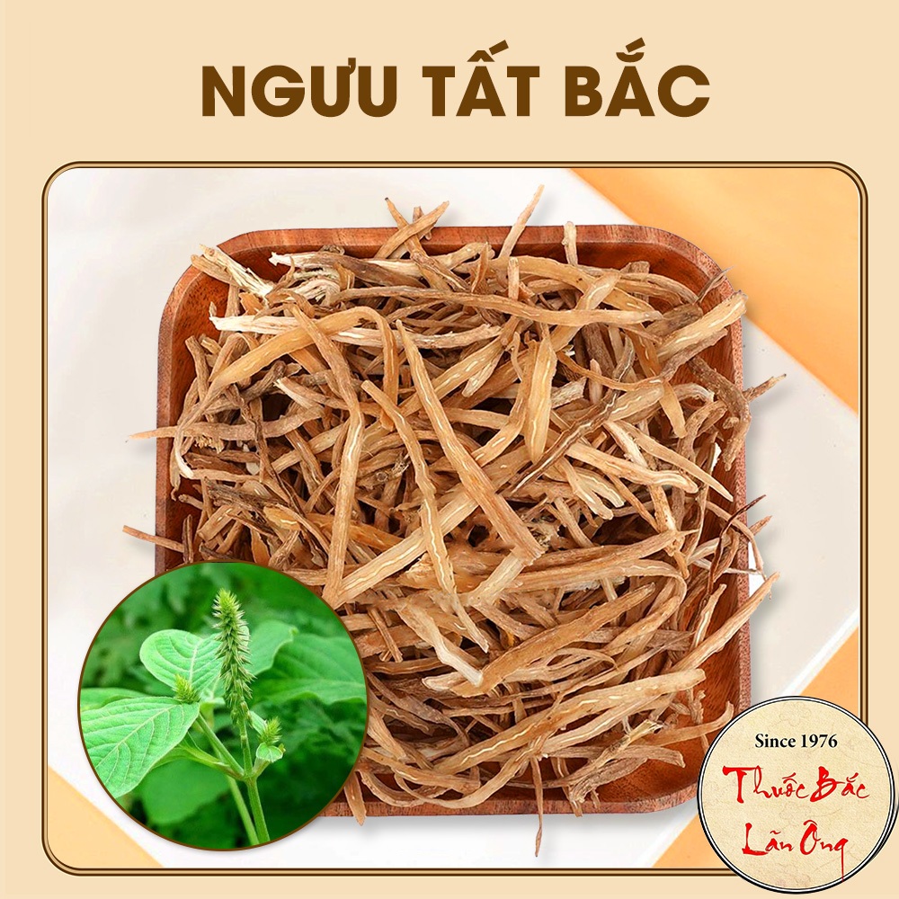 Ngưu tất bắc 100g, rễ cỏ xước khô, thái lát mỏng, thơm, sạch - Lãn Ông
