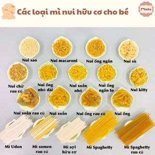 Mì nui các loại  túi zip 100g (nui xoắn, nui sao, nui chữ, mì semon, nui sò, nui vũ trụ)
