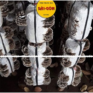 Nấm Vân Chi Sấy Khô 200gram (Tặng Kèm Táo Đỏ + Kỉ Tử)