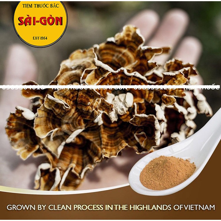 Nấm Vân Chi Sấy Khô 200gram (Tặng Kèm Táo Đỏ + Kỉ Tử)