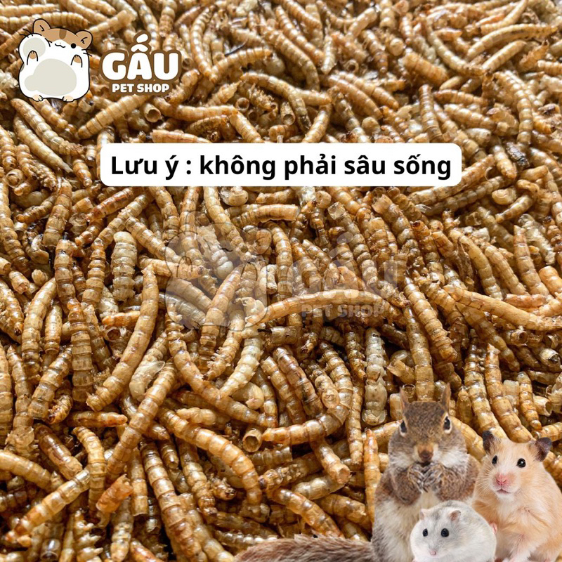 Sâu khô ăn vặt cho Hamster