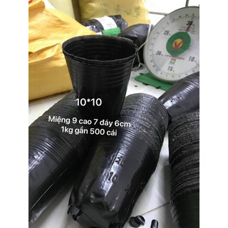 1kg bầu ươm nhiều kích cỡ