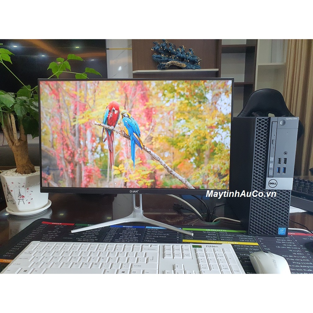 Bộ máy tính Dell optiplex Core i5 6500/ 8G/ SSD 256G, Màn hình 22inch, 24inch, 27 inch, BH 24 tháng