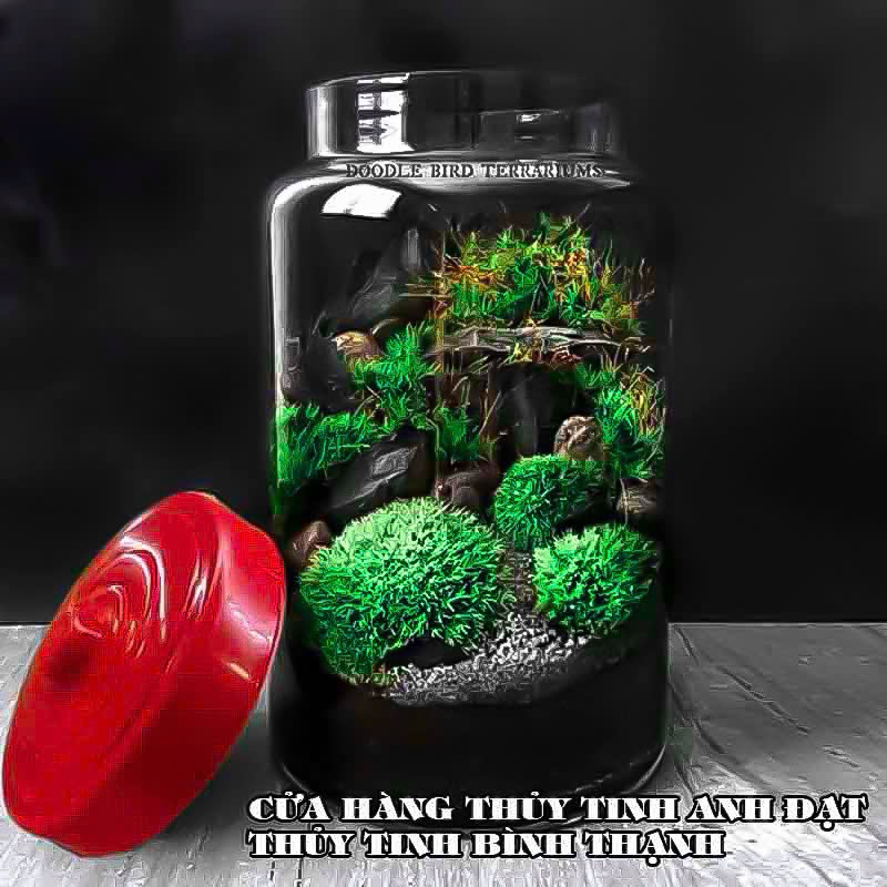 Bình Thủy Tinh Ngâm Rượu, Ngâm Trái Cây, Nuôi Giấm Nắp Đỏ 10L, 20L