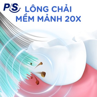 Bộ 2 bàn chải đánh răng P/S 4D