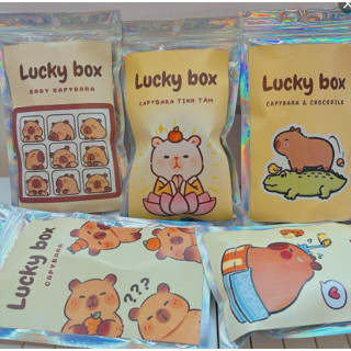 Túi đồ dùng học tập Loopy, capybara , chikawa - Đồ dùng học tập - bút giấy note, tẩy, sticker, móc khoá