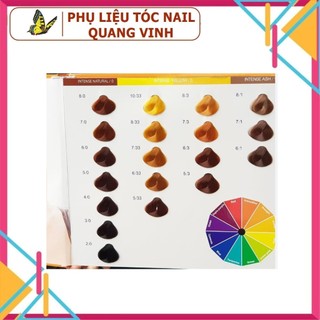 (Thanh lý 18k) Thuốc nhuộm tóc Everflor 100ml đủ màu