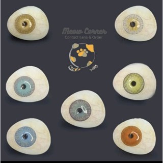 Lens NEW YORK 7 màu có độ cận từ 4-8