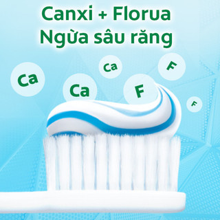 Kem đánh răng Colgate Muối Thảo Dược 225g