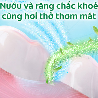 Kem đánh răng Colgate Muối Thảo Dược 225g
