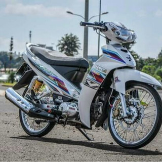 Tem rời Sirius trắng mẫu mới