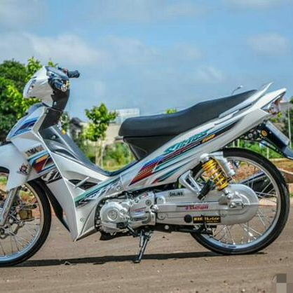 Tem rời Sirius trắng mẫu mới