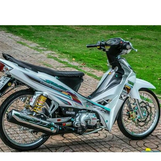Tem rời Sirius trắng mẫu mới