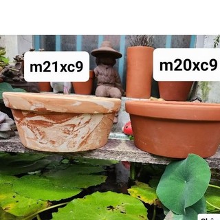  Chậu đất nung - chậu thau lớn miệng phủ chậu 20-21 cao 9cm 