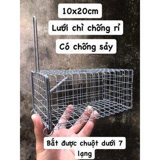Combo 10 Lồng bẫy chuột,sóc.10x20cm chì chống rỉ.