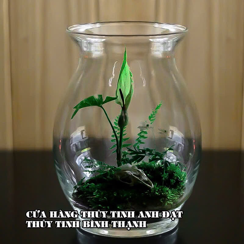 Ly thủy tinh, ly nước ép, ly sinh tố bầu dục 500ml, 1000ml