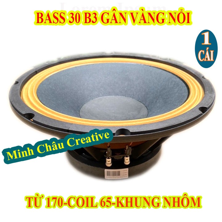 LOA BASS 30 B3 TỪ 170 COIL 76 AUDIO GÂN VÀNG CAO CẤP - GIÁ 1 LOA