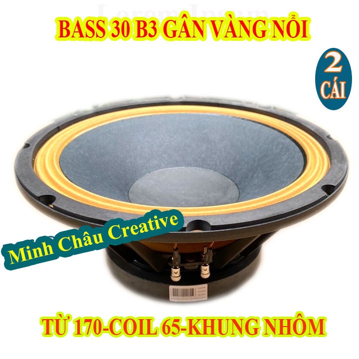 CẶP LOA BASS 30 B3 TỪ 170 COIL 76 AUDIO GÂN VÀNG - GIÁ 2 LOA