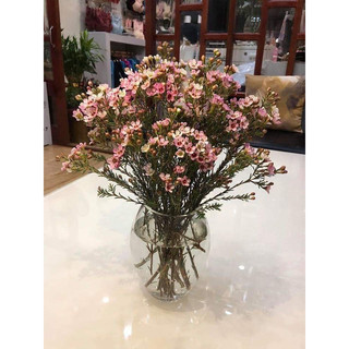 Lọ hoa thủy tinh : Chum cắm hoa