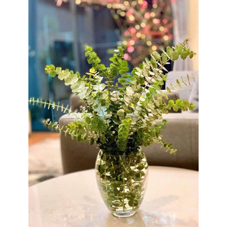 Lọ hoa thủy tinh : Chum cắm hoa